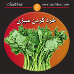 خرد کردن سبزی با خردکن همه کاره مایللوکس