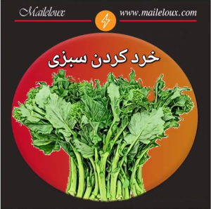 خرد کردن سبزی با خردکن همه کاره مایللوکس